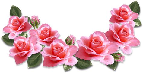 Rose Pink Flowers Clip Art Rose Png Download 1684869 Free