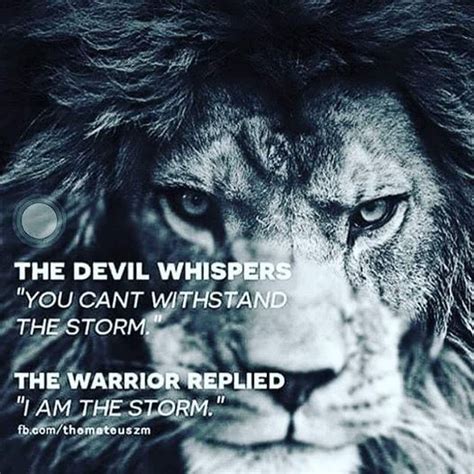 Warrior Strength Warrior Quotes Lion Quotes Motivation
