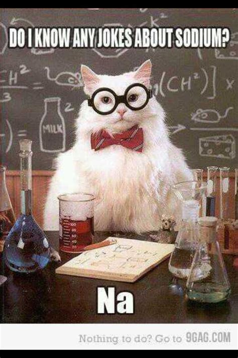 Pin By Cathe Bowman On Laughing Nerd Humor Chemistry Cat Nerdy Jokes