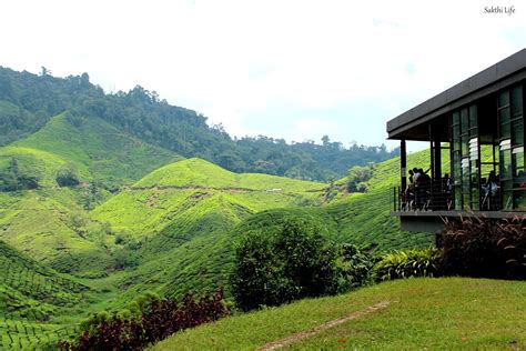 The highly fertile ground about 5 hiking through a tea plantation in the cameron highlands malaysia. Boh Tea Plantation @ Cameron Highlands