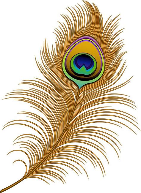 Peacock Feather Border Designs Free Download On Clipartmag