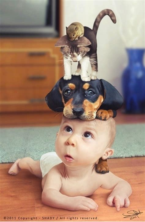 baby, cat, cuute, dog - image #331726 on Favim.com