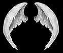 white angel wings png - Clip Art Library