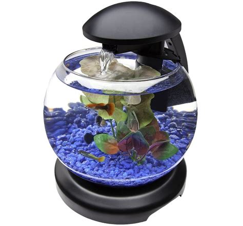 Membuat aquarium unik yang sederhana tidaklah sulit, anda dapat melakukannya sendiri (diy: Model dan Harga Aquarium Mini - Cara Budidaya Ikan