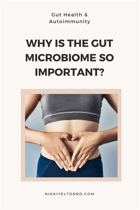 5 Reasons Why Gut Health Is Important Nikki Yelton Rd