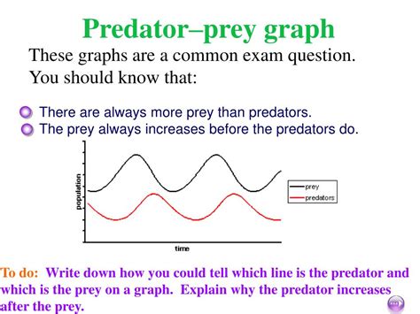 PPT Predator Prey Relationships PowerPoint Presentation Free