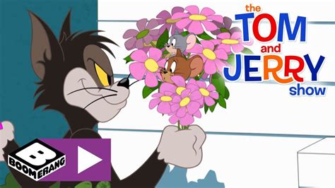 Download The Tom And Jerry Show Tom Gets Married Boomerang Uk Mp4