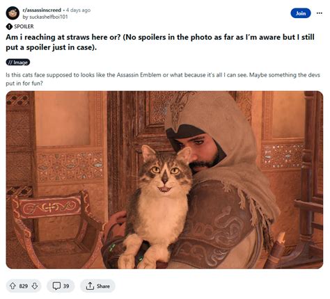 Assassin S Creed Mirage Features A Cat With An Assassin S Creed Branded