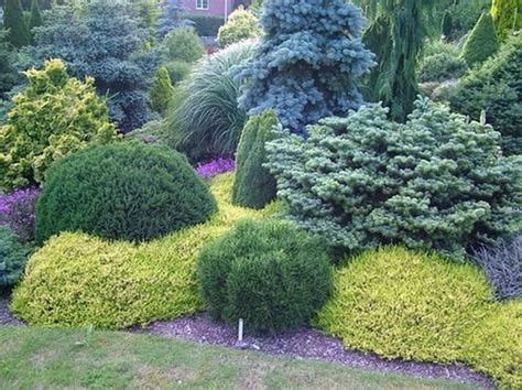 17 Chic Front Yard Garden With Dwarf Pine Tree Ideas Decoratop