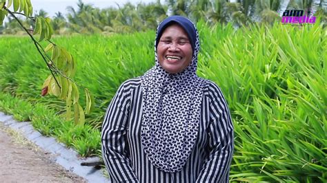 Warganegara malaysia yang memenuhi cukup syarat kelayakan dan berumur tidak kurang daripada 18 tahun pada tarikh tutup iklan. Amanah Ikhtiar Malaysia Teguh Berdiri Bersama Sahabat ...