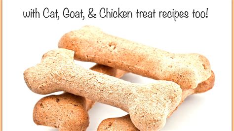 Homemade Cat Treats Recipe Recipe Choices