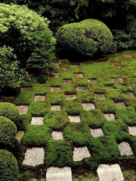 Half the types of plants you're thinking of using, then double the number for each.' Ask the Expert: 7 Tips for Making a Moss Checkerboard: Gardenista