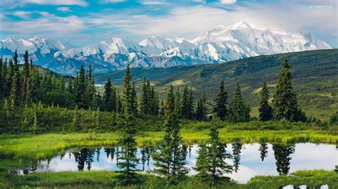 Park Narodowy Denali Alaska Stany Zjednoczone Góry Jezioro Drzewa