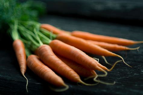 All that information is great, but once you have a. Carrots Raw Dog Food Ingredients | Can Dogs Eats Carrots