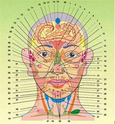 Reflexology From Ghl Face