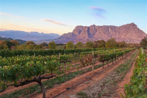 Things To Do In Stellenbosch South Africa Beyond The Wine