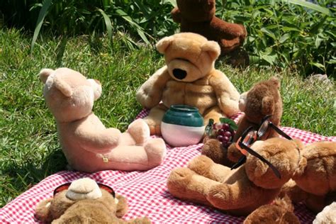 Teddy Bear Picnic