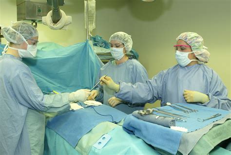 Operating Room Scrub Handing Instruments To The Surgeon With Images