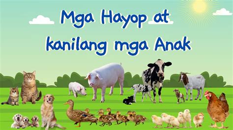 Mga Hayop At Kanilang Mga Anak Tagalog Youtube