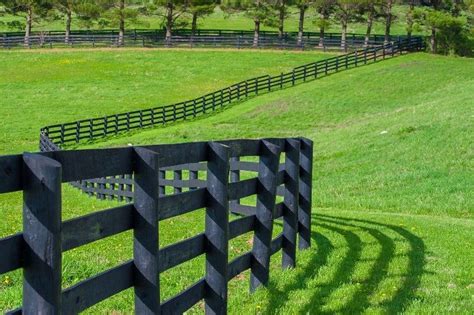 Choosing The Right Horse Fence