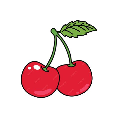 Premium Vector Cherry Vector Illustration Fresh Cherry Fruit