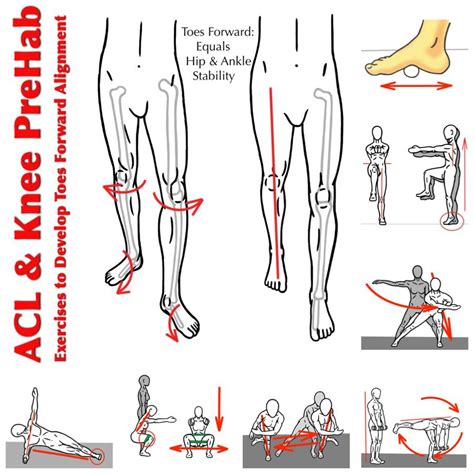 Looking For Effective ACL And Knee PreHab This Exercise Sequence Can