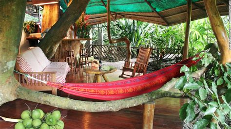 7 Luxurious Tree House Hotels