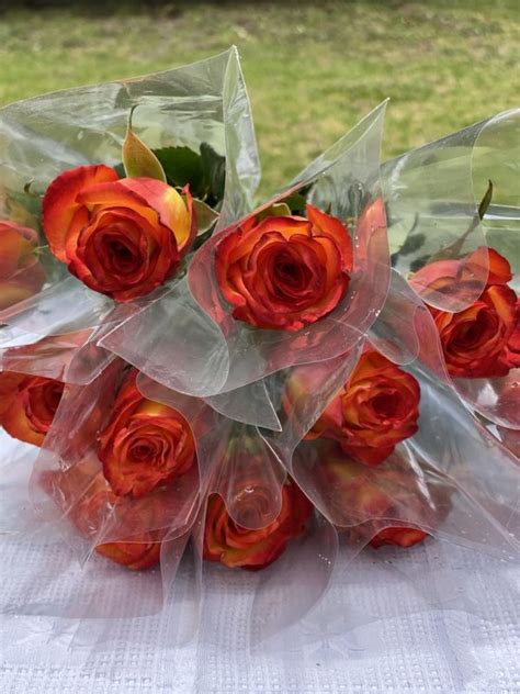 Box Of 150 Roses Individually Wrapped Mr Roses Farms