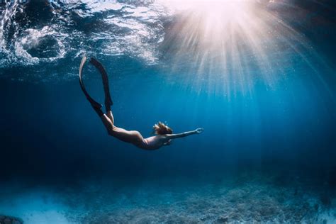 What Is The Freediver Model Bettertogetherscotland