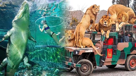 The Most Amazing Zoos In The World The Best Zoos You Have To Visit