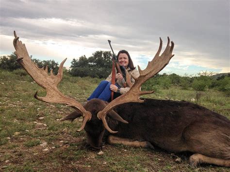 Fallow Deer Hunting 60 Species 18000 Acres In Texas Ox Ranch