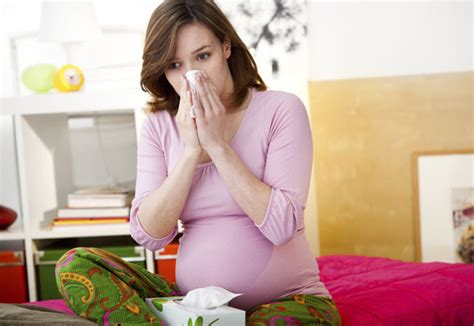 Obat batuk untuk ibu hamil dari bahan alami lainnya adalah daun kemangi. Obat Batuk Herbal Untuk Ibu Hamil Yang Aman - SIMOMOT