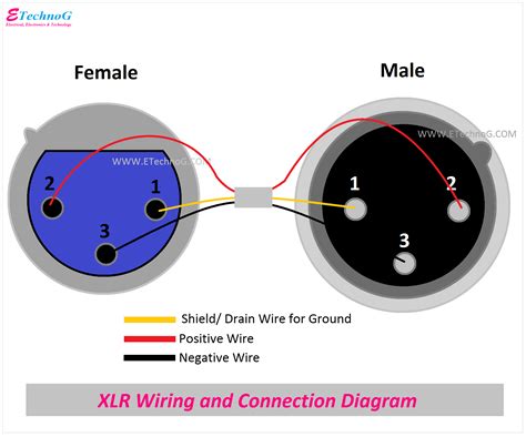 Xlr Pinout Wiring Diagram Male And Female Connector Etechnog