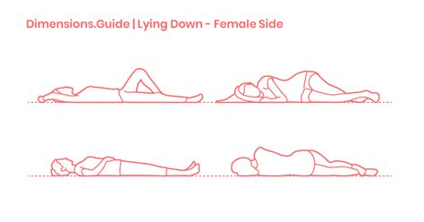Lying Down Female Side Dimensions And Drawings Dimensionsguide