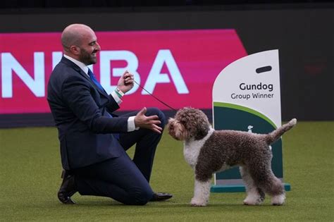 Crufts 2023 Day 4 Results Announced For Best In Show Utility And Toy