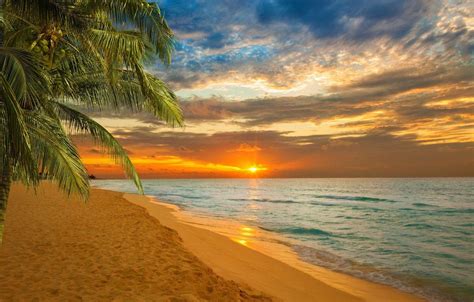 Caribbean Sunset Wallpapers - Top Free Caribbean Sunset Backgrounds ...