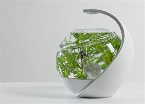 How often do you clean your fishtank? Avo Tropical Self Cleaning Fish Tank Launches On ...