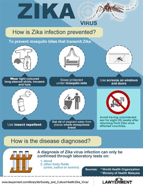 How Is Zika Infection Prevented How Is The Disease Diagnosed Zika