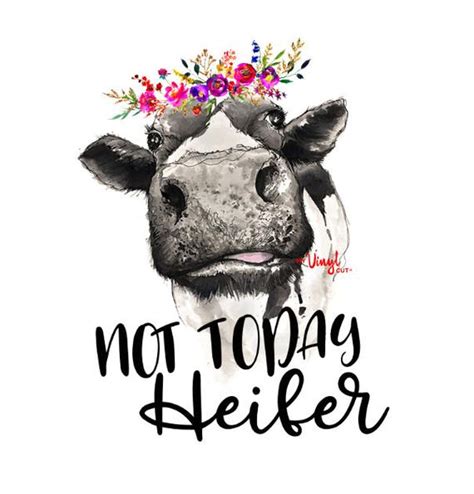 A free not today heifer svg to show your character. sticker Not Today Heifer Cow transfer PRINTED vinyl ...