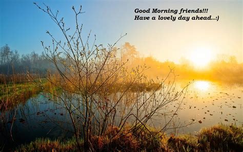Good Morning Images Download For Free With Wishes Quotes