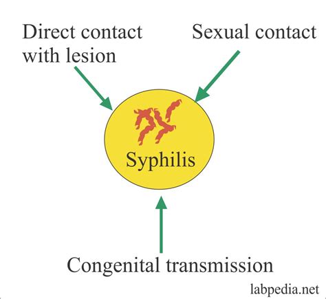 Syphilis Part 1 Diagnosis Vdrl Fta Abs Tpha Rpr Treponema