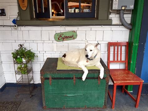 Please enter your postal code above to view your nearest results. 8 Dog-Friendly Coffee Shops in Seattle: Patio & Indoor Seating