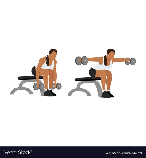 Woman Doing Dumbbell Bent Over Reverse Flyes Vector Image