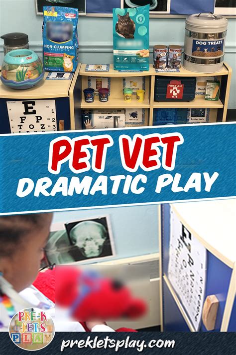 Vet Clinic Dramatic Play Area Artofit
