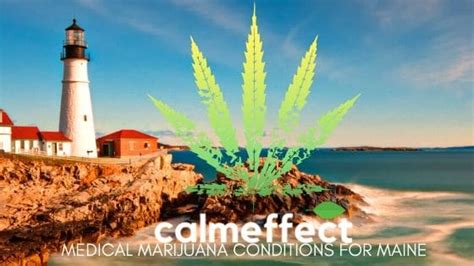 Getting a medical marijuana card has many benefits and the process is easier than you think. Medical Marijuana Conditions for Maine - Are You Eligible? - CalmEffect.com