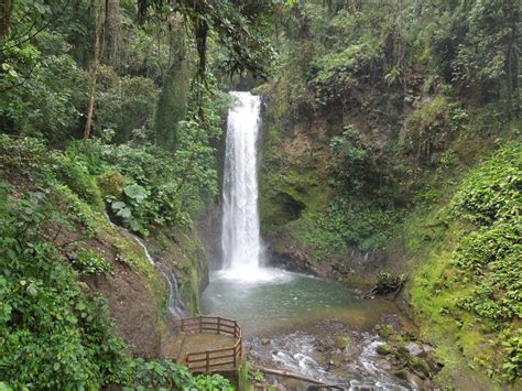 La Paz Waterfall Gardens Waterfalls In Alajuela Costa Rica La Paz