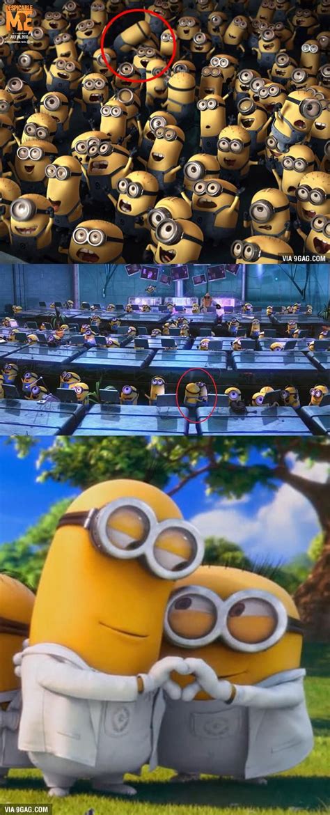 Minion Agree With Gay Marriage Now The Rest Of The World Amor Minions Cute Minions Minions