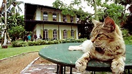 Ernest Hemingway's Cats Survived Hurricane Irma