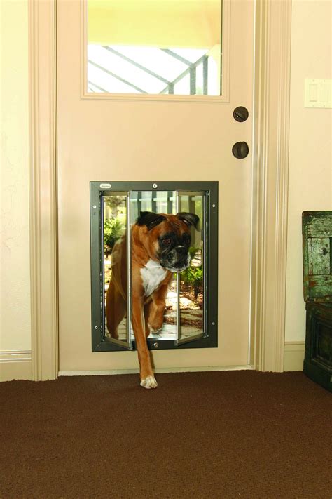 Installing A Dog Door In A Glass Door Glass Door Ideas
