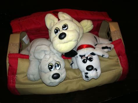 These dogs stick together and rely on their motto, a pup for every person, and a person for every pup. Pound puppies!! I had the kennel too! | Puppies, Pluto the dog